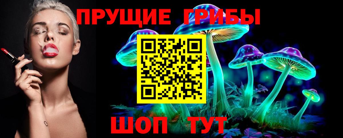 Псилоцибиновые грибы ЛСД  Вход с VPN  Галлюциногенные грибы Psilocybe  Гурьевск 